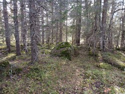 Langshaugen Vesttoppen