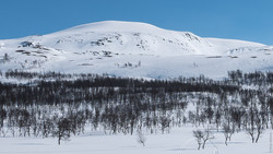 Snøfjellet