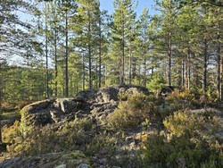 Nord for Hyttevollen