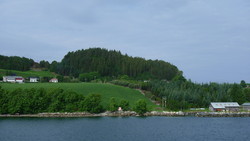 Vetås