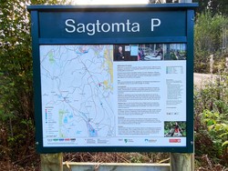 Sagtomta