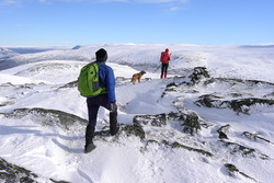 Gråhøa Nordøst for