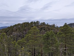 Torskardfjellet