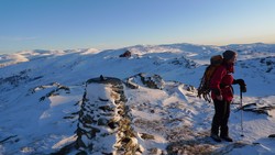 Henrik Krohns utsikt