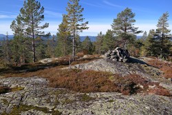 Lårbuåsen