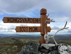 Kongsvarden