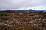 Skinnfjellet