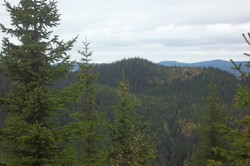 Nordre Korsvatnhaugen Øst