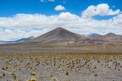 Atacama 4260