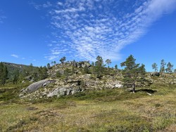Gråhaugen