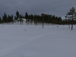 Nordøst for Bjørnberget