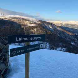 Lalmshaugen