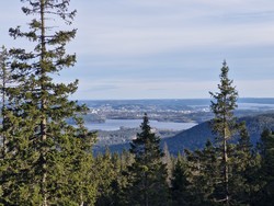 Mellomkollen utsiktspunkt