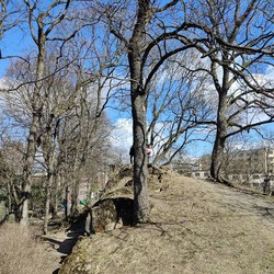 Vår frelsers gravlund