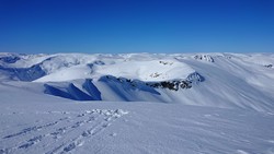 Nord for Torstadnakken