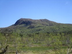 Gråurfjellet