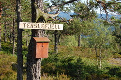 Tekslefjellet