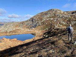 Aust for Mulekosrinda