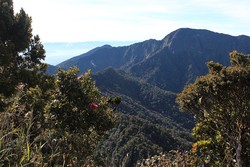Mount Dulang-dulang