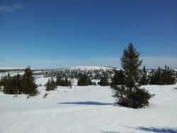 Steinvikfjellet