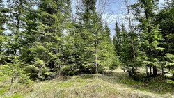 Oslos mest øde sted