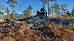 Skitnebufjellet