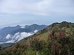 Gunung Lawu