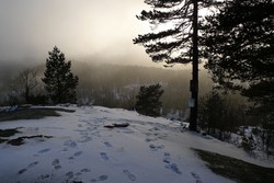 Fjerdingen postkassen