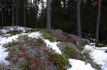 Hanatjennberget