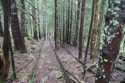 Funicular -Kabelbane