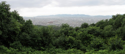 Kojingamine Observation Deck