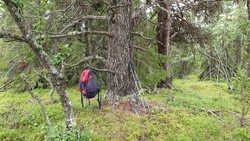 Gudbrandsrudnatten Nordvest