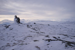 Ongsjøfjellet