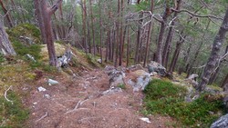 Amlaholten fra nordvest