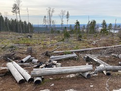 Eievarden midten rasteplass