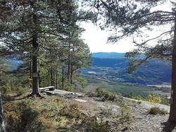 Skogsfjell utsiktspunkt