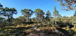 Snauskolten nordøst for