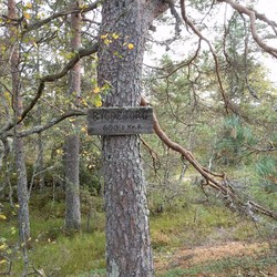 Tjuvborgen bygdeborg