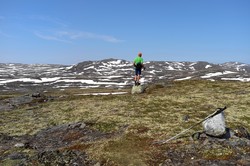 Utsikten i Forollhogna