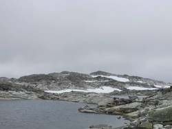 Nord for Blåbergeggi