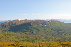 Svartløkfjellet