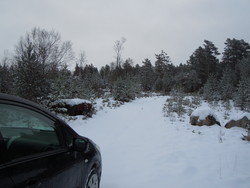 Rubbeheia fra vest parkering (Kvasshammarveien)