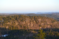 Skolapparåsen