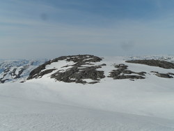 Aust for Gråfolåna