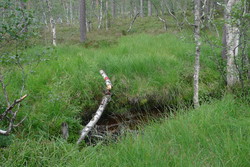 Svak sti mot Det grøne skaret