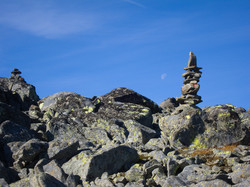 Rasletinden T-merket rute