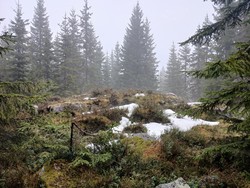 Sør for Prestbråteberget