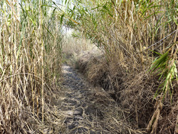 Sciara del Fuoco Trail