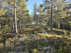 Brennåsen Nord