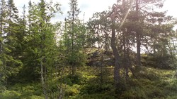 Skutsæterberget Sørøst